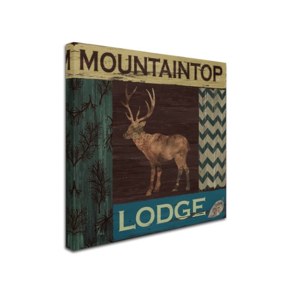 Fiona Stokes-Gilbert 'Mountain Lodge' Canvas Art,14x14